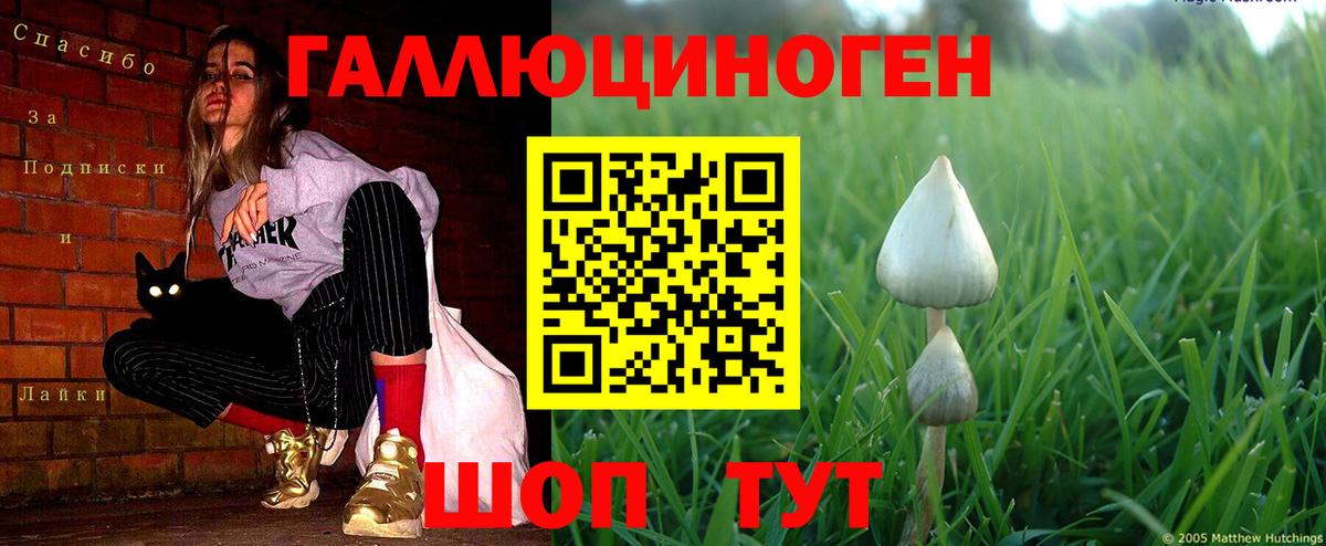 Псилоцибиновые грибы Cubensis  Вход с VPN  Галлюциногенные грибы Cubensis  Ачхой-Мартан 